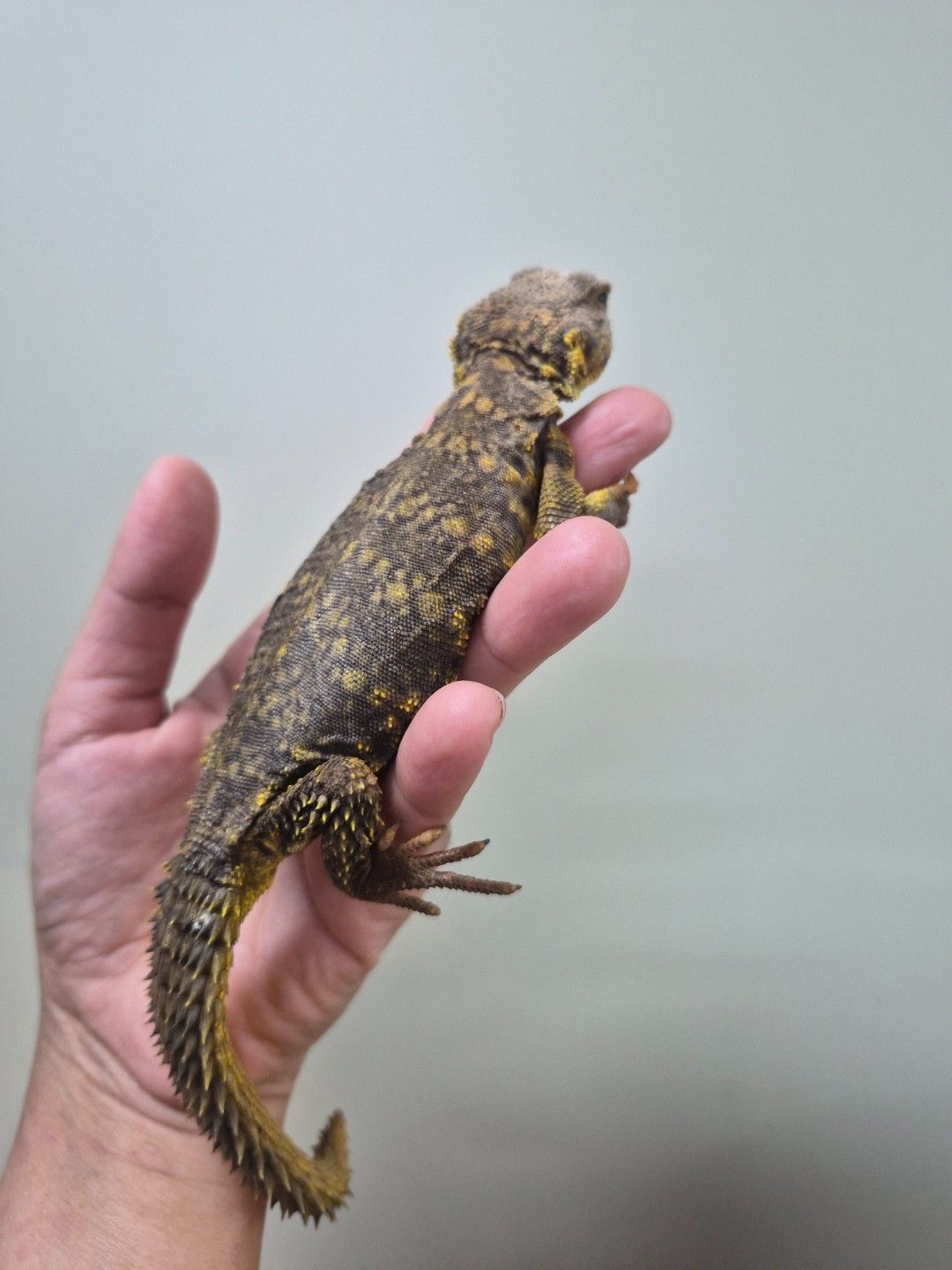 scaled_34276.jpg