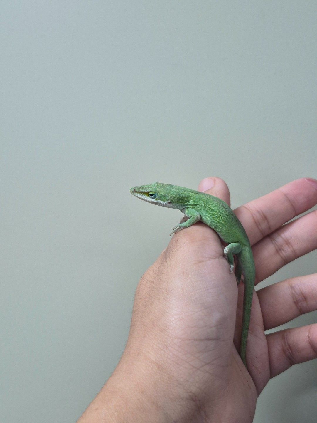 scaled_36686.jpg