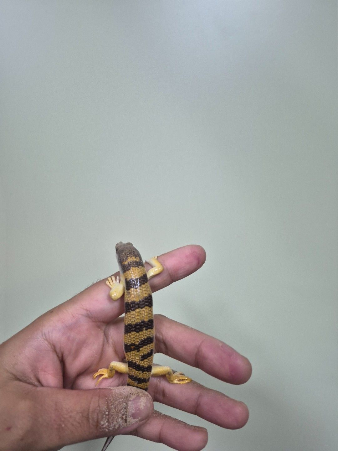 scaled_36829.jpg