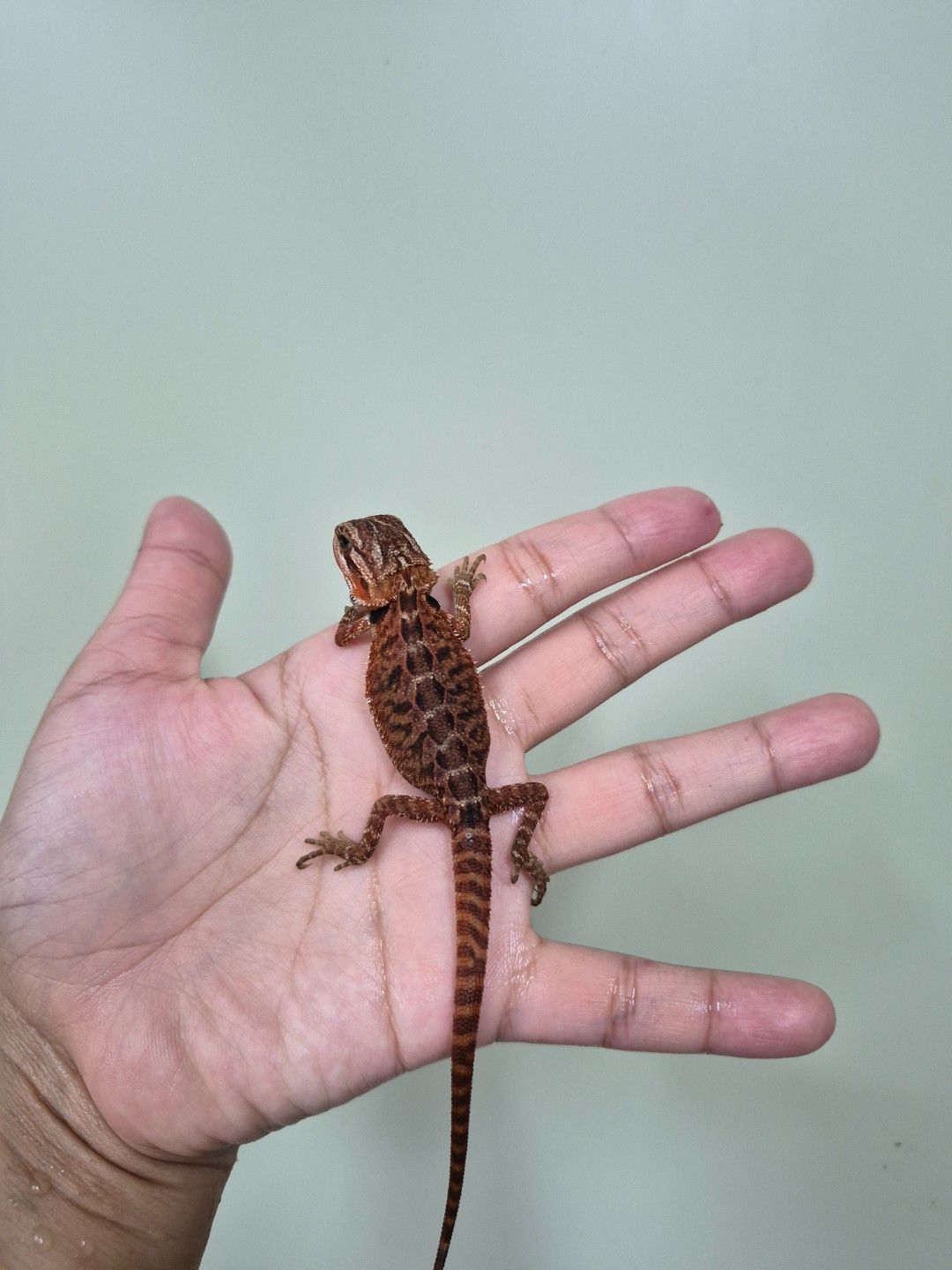 scaled_34683.jpg