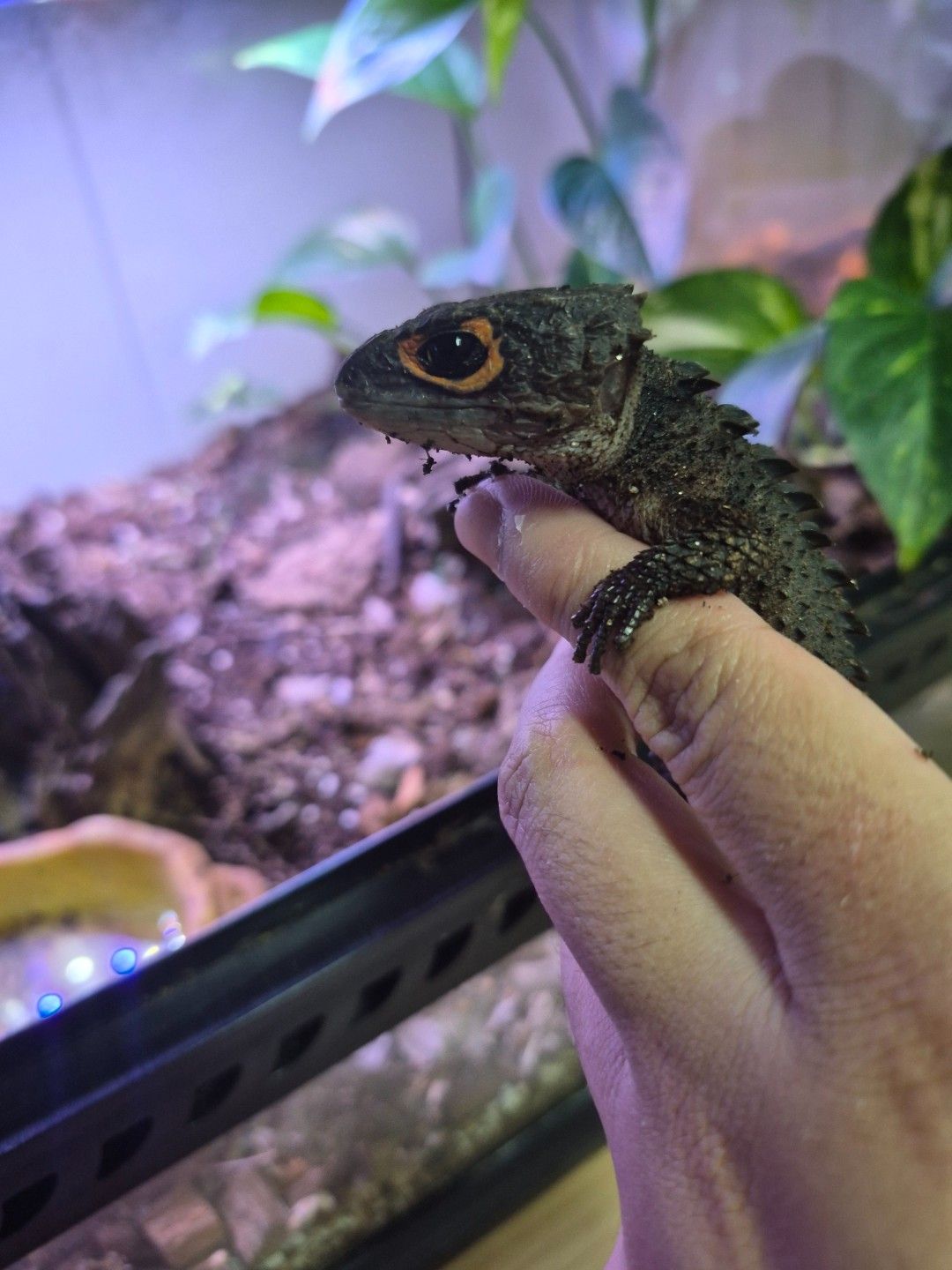 scaled_34142.jpg
