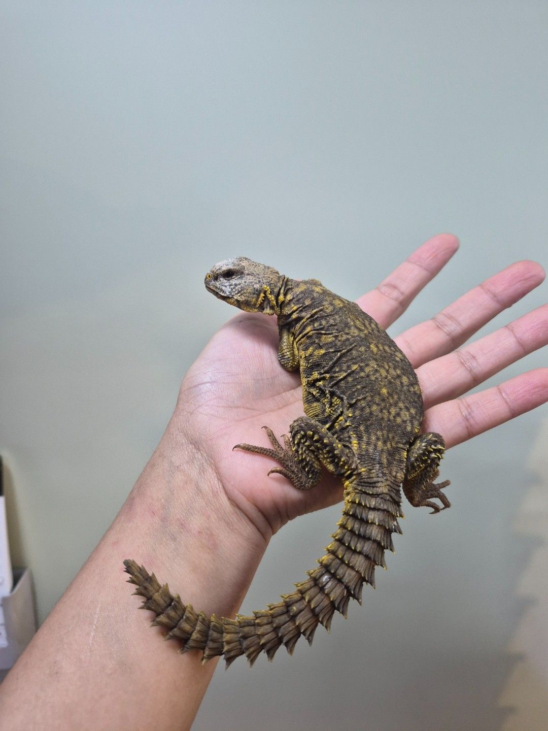scaled_34280.jpg