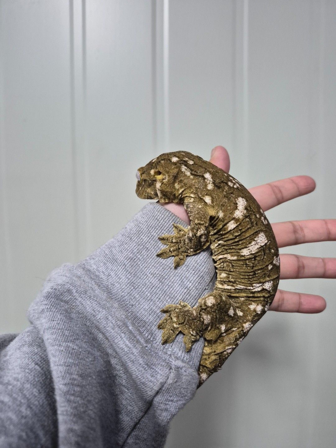 scaled_33404.jpg