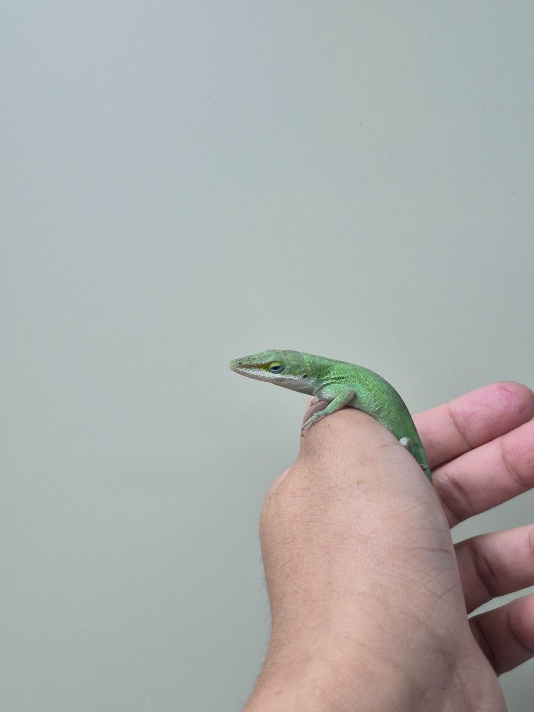 scaled_36687.jpg