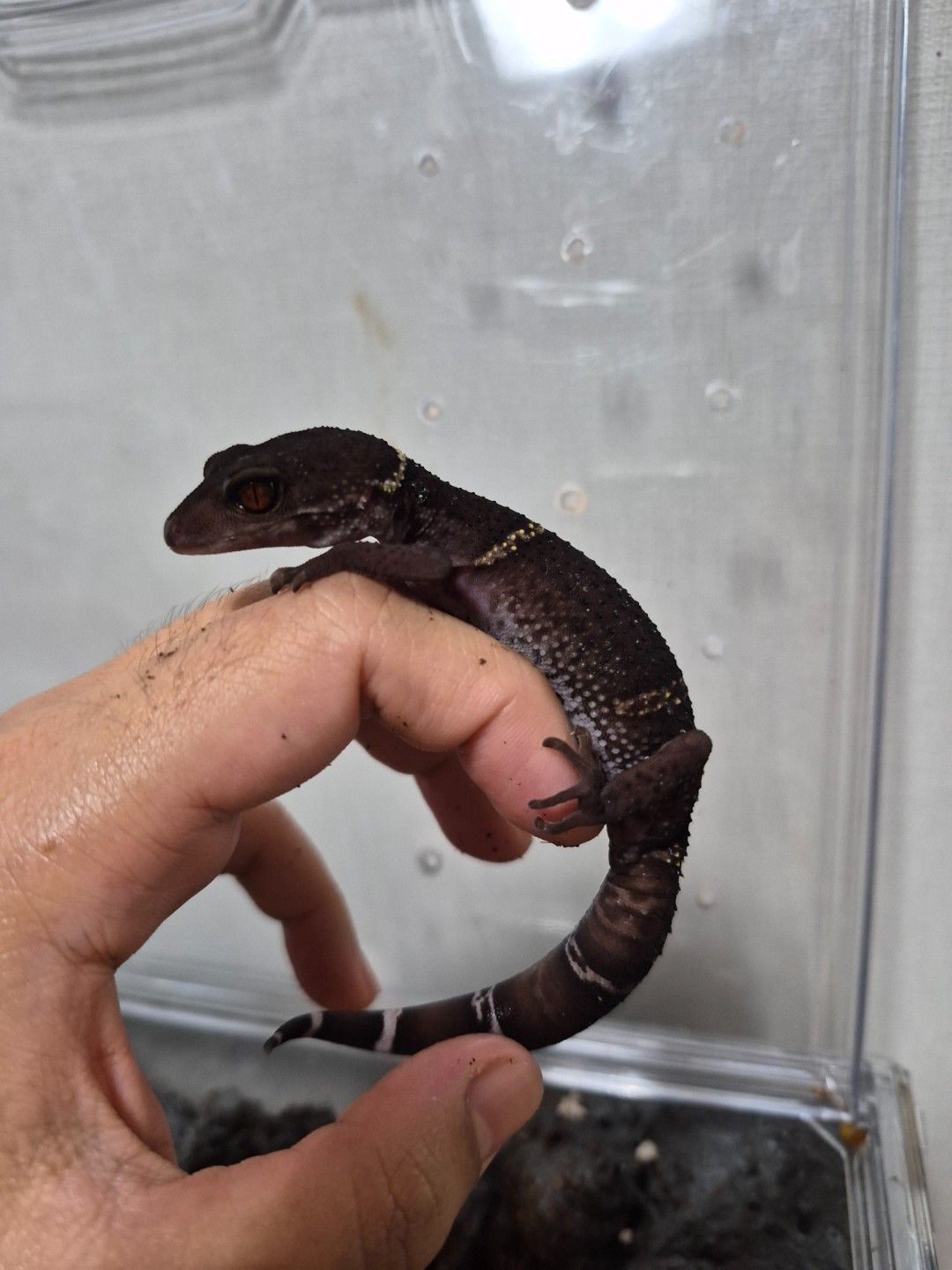 scaled_32023.jpg