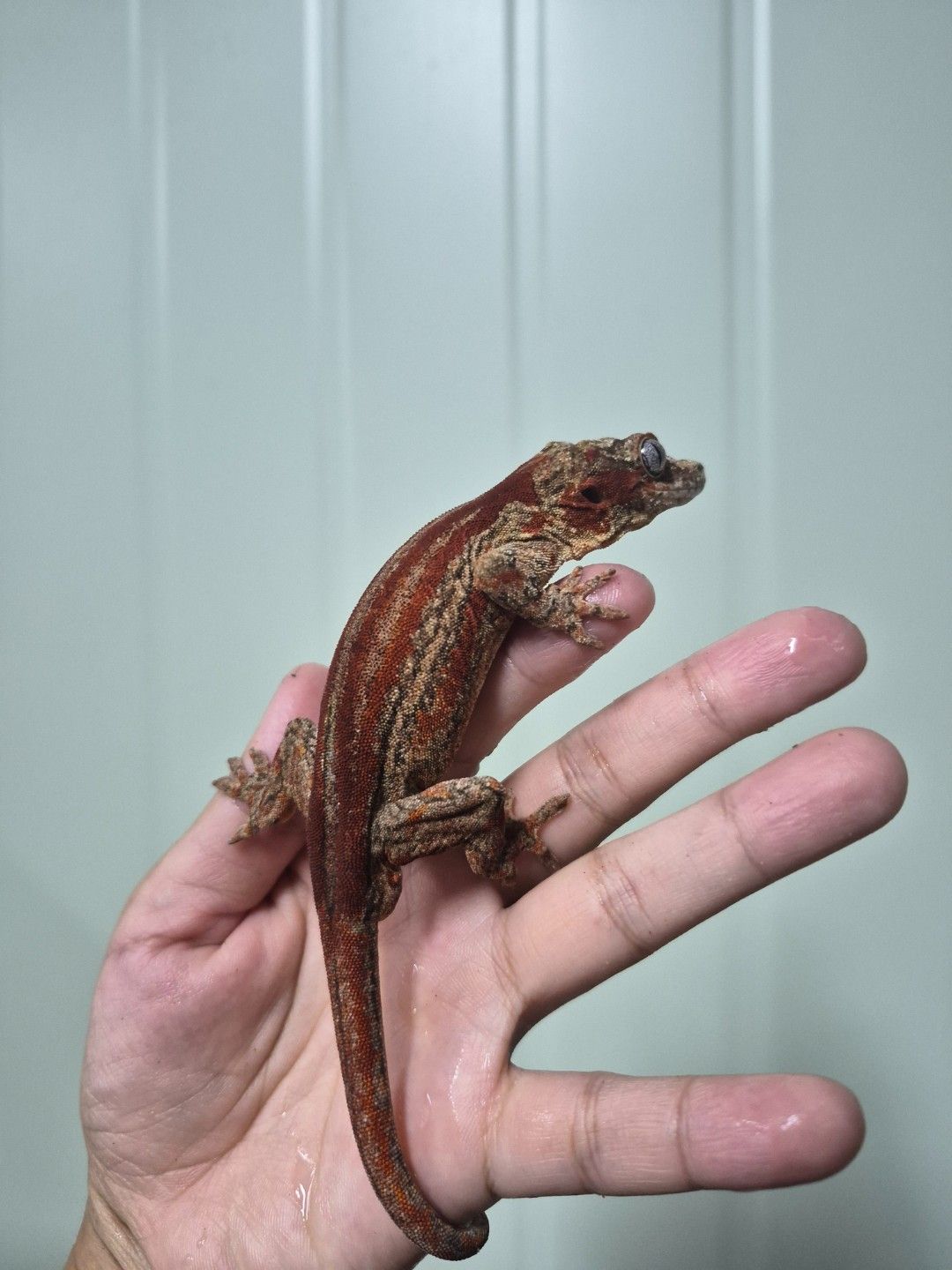 scaled_34062.jpg