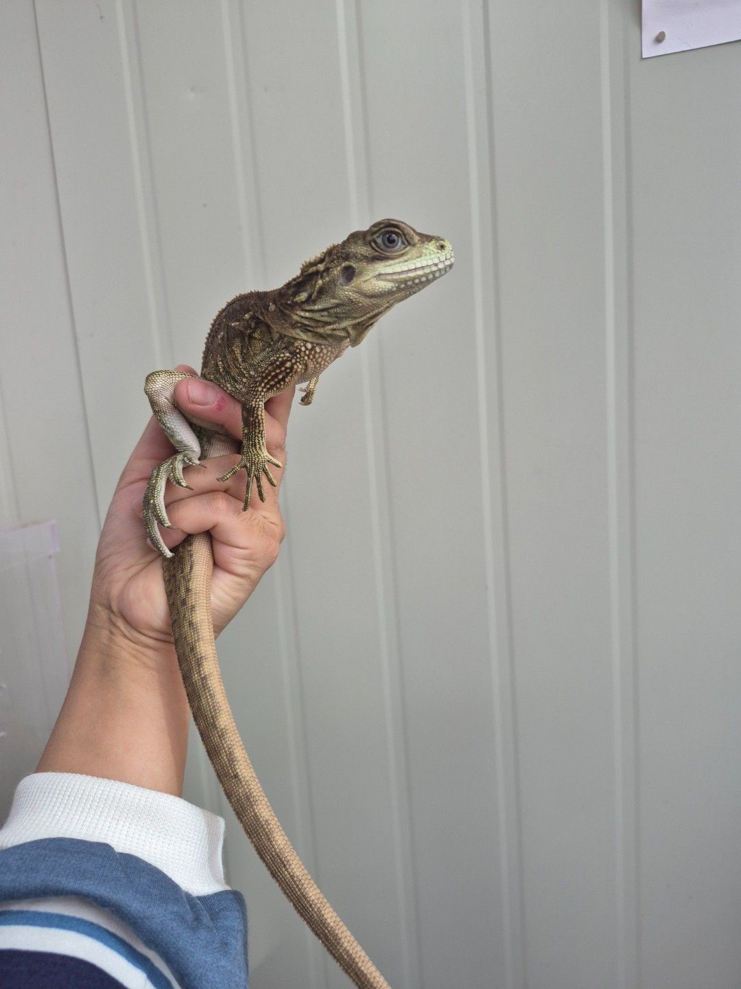 scaled_32422.jpg