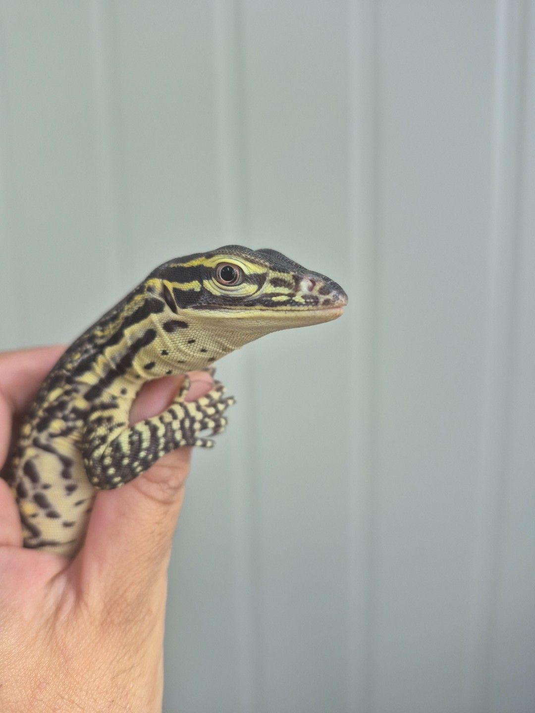 scaled_34248.jpg