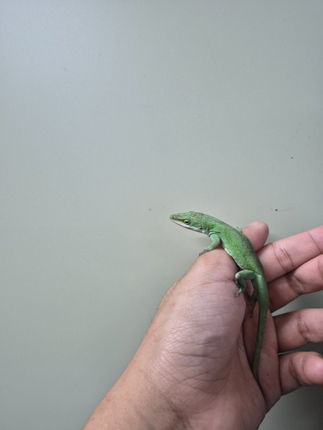 scaled_36684.jpg