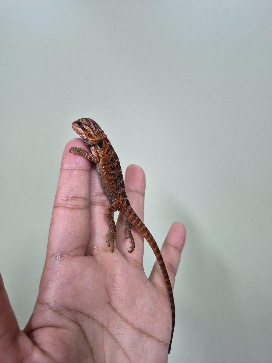 scaled_34685.jpg