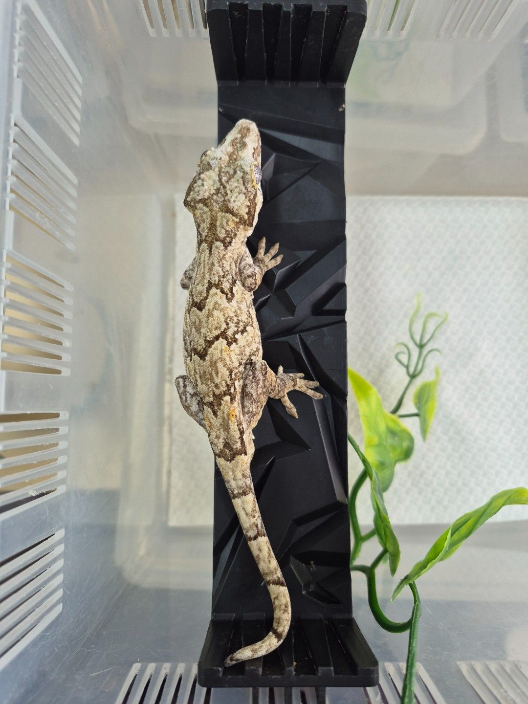 scaled_34613.jpg
