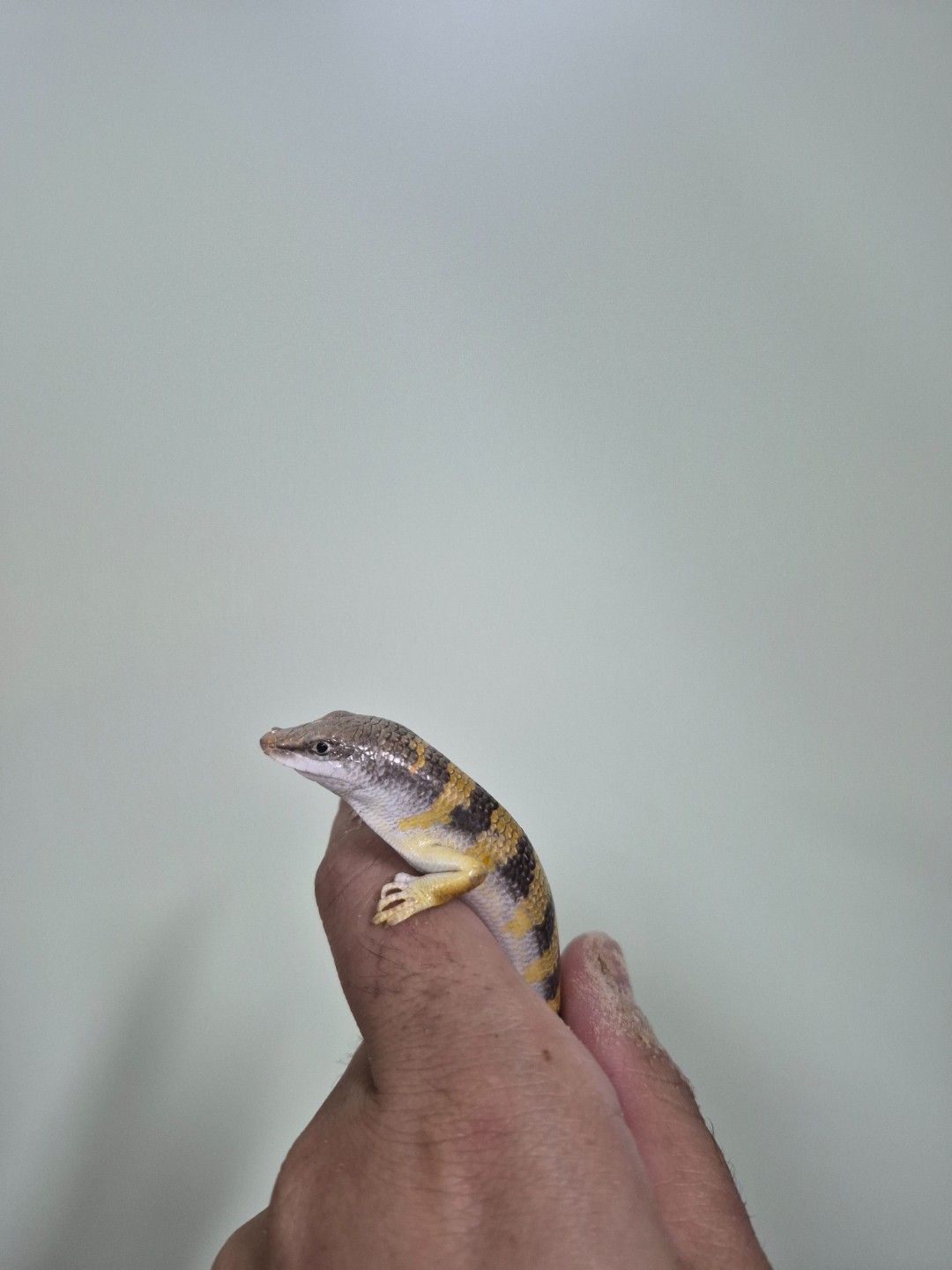 scaled_36830.jpg