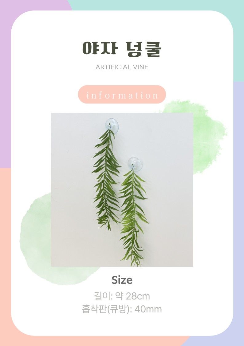 야자 넝쿨.jpg